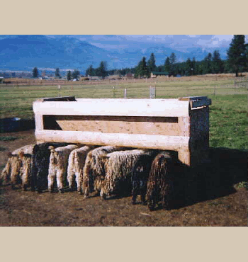 Goat Feeding Stall